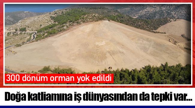 Doğa katliamına iş dünyasından da tepki var…