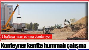 Konteyner kentte hummalı çalışma