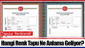 Hangi Renk Tapu Ne Anlama Geliyor?