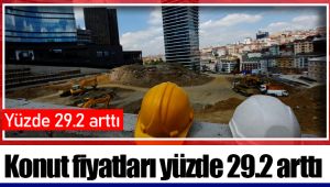 Konut fiyatları yüzde 29.2 arttı