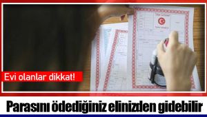 Parasını ödediğiniz elinizden gidebilir