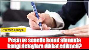 Peşin ve senetle konut alımında hangi detaylara dikkat edilmeli?