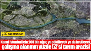 Kanal İstanbul için 200 bin ağaç ya sökülecek ya da kesilecek, çalışma alanının yüzde 52'si tarım arazisi