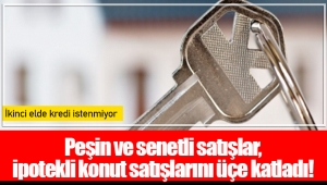 Peşin ve senetli satışlar, ipotekli konut satışlarını üçe katladı!