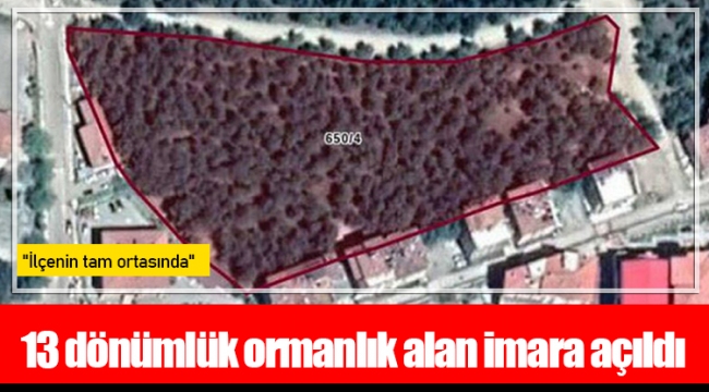 13 dönümlük ormanlık alan imara açıldı