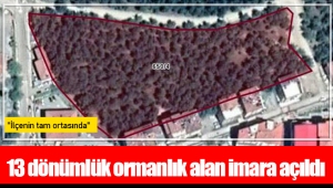 13 dönümlük ormanlık alan imara açıldı