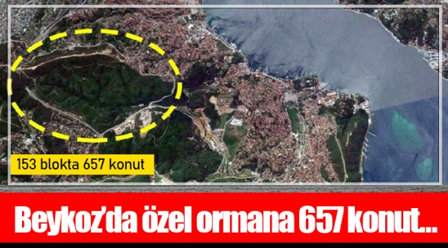 Beykoz’da özel ormana 657 konut…