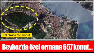 Beykoz’da özel ormana 657 konut…