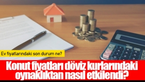 Konut fiyatları döviz kurlarındaki oynaklıktan nasıl etkilendi?