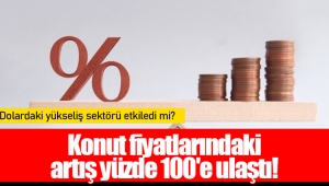 Konut fiyatlarındaki artış yüzde 100'e ulaştı!