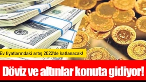 Döviz ve altınlar konuta gidiyor!