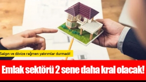 Emlak sektörü 2 sene daha kral olacak!