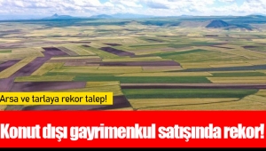 Konut dışı gayrimenkul satışında rekor!