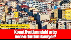 Konut fiyatlarındaki artış neden durdurulamıyor?