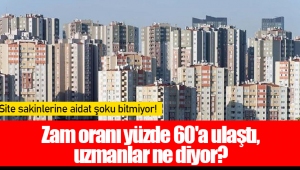 Zam oranı yüzde 60'a ulaştı, uzmanlar ne diyor?