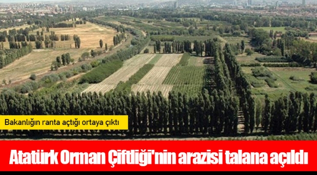 Atatürk Orman Çiftliği'nin arazisi talana açıldı