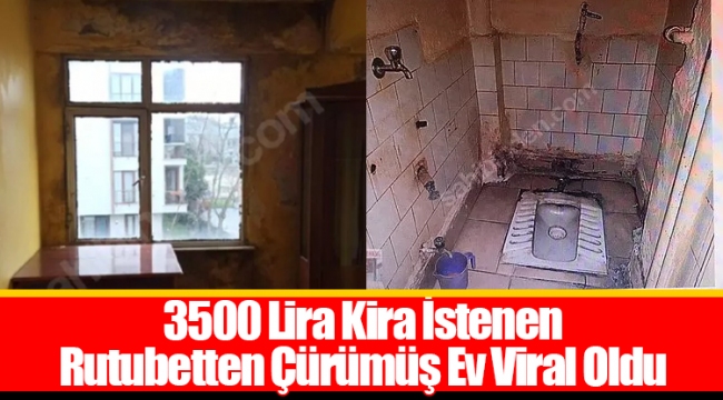 3500 Lira Kira İstenen Rutubetten Çürümüş Ev Viral Oldu