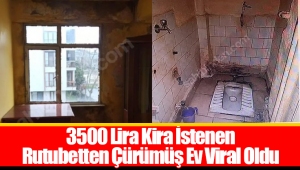 3500 Lira Kira İstenen Rutubetten Çürümüş Ev Viral Oldu