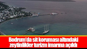 Bodrum’da sit koruması altındaki zeytinlikler turizm imarına açıldı