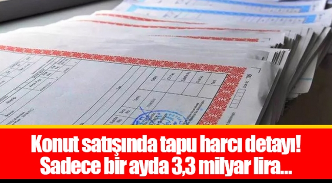 Konut satışında tapu harcı detayı! Sadece bir ayda 3,3 milyar lira…