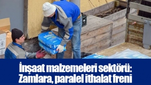 İnşaat malzemeleri sektörü: Zamlara, paralel ithalat freni