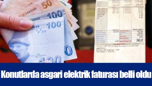 Konutlarda asgari elektrik faturası belli oldu