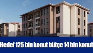 Hedef 125 bin konut bütçe 14 bin konut