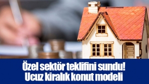 Özel sektör teklifini sundu! Ucuz kiralık konut modeli