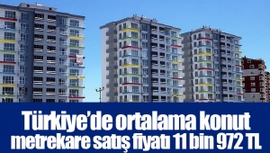 Türkiye’de ortalama konut metrekare satış fiyatı 11 bin 972 TL