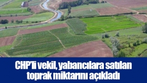 CHP’li vekil, yabancılara satılan toprak miktarını açıkladı