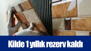 Kilde 1 yıllık rezerv kaldı