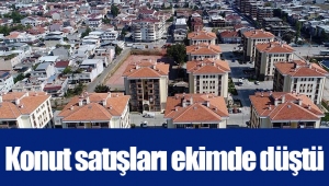 Konut satışları ekimde düştü