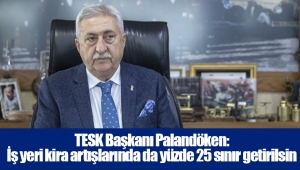 TESK Başkanı Palandöken: İş yeri kira artışlarında da yüzde 25 sınır getirilsin