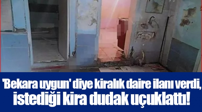 'Bekara uygun' diye kiralık daire ilanı verdi, istediği kira dudak uçuklattı! 