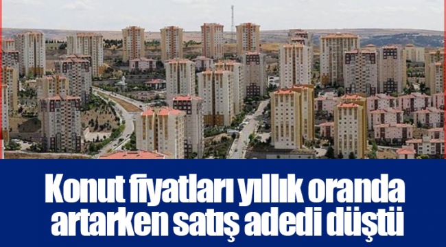 Konut fiyatları yıllık oranda artarken satış adedi düştü