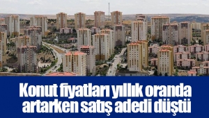 Konut fiyatları yıllık oranda artarken satış adedi düştü