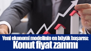 Yeni ekonomi modelinin en büyük başarısı: Konut fiyat zammı