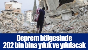 Deprem bölgesinde 202 bin bina yıkık ve yıkılacak