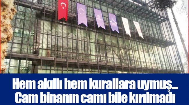 Hem akıllı hem kurallara uymuş... Cam binanın camı bile kırılmadı