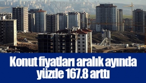 Konut fiyatları aralık ayında yüzde 167.8 arttı