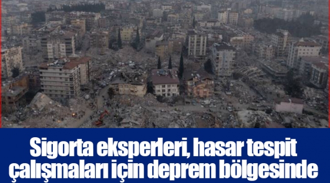 Sigorta eksperleri, hasar tespit çalışmaları için deprem bölgesinde