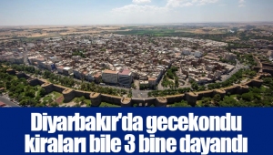 Diyarbakır'da gecekondu kiraları bile 3 bine dayandı