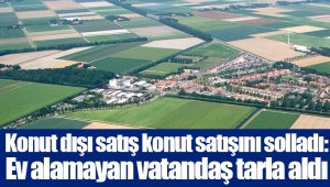 Konut dışı satış konut satışını solladı: Ev alamayan vatandaş tarla aldı