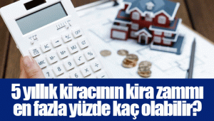 5 yıllık kiracının kira zammı en fazla yüzde kaç olabilir?