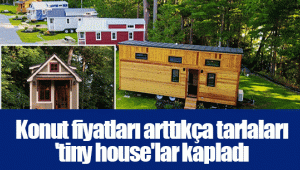 Konut fiyatları arttıkça tarlaları 'tiny house'lar kapladı