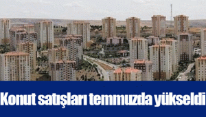 Konut satışları temmuzda yükseldi