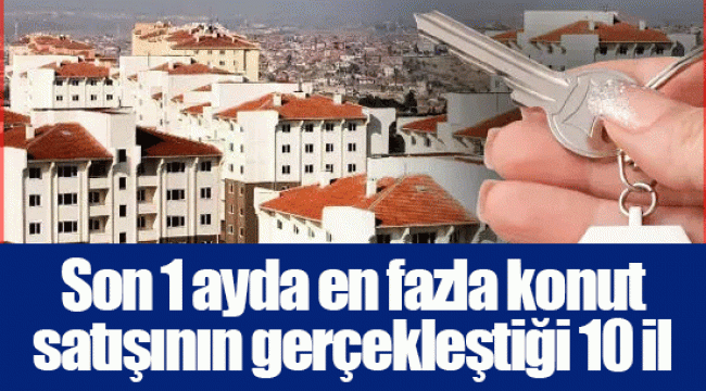 Son 1 ayda en fazla konut satışının gerçekleştiği 10 il