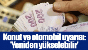 Konut ve otomobil uyarısı: 'Yeniden yükselebilir'