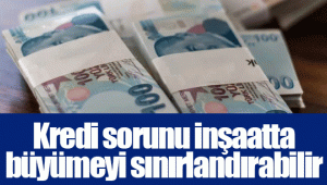 Kredi sorunu inşaatta büyümeyi sınırlandırabilir