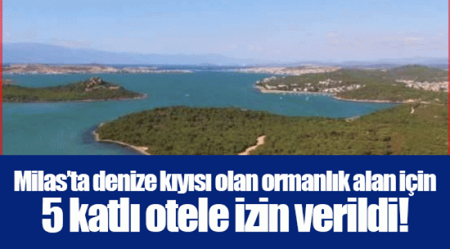 Milas’ta denize kıyısı olan ormanlık alan için 5 katlı otele izin verildi!